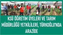 KSÜ Öğretim Üyeleri ve Tarım Müdürlüğü Yetkilileri Arazide